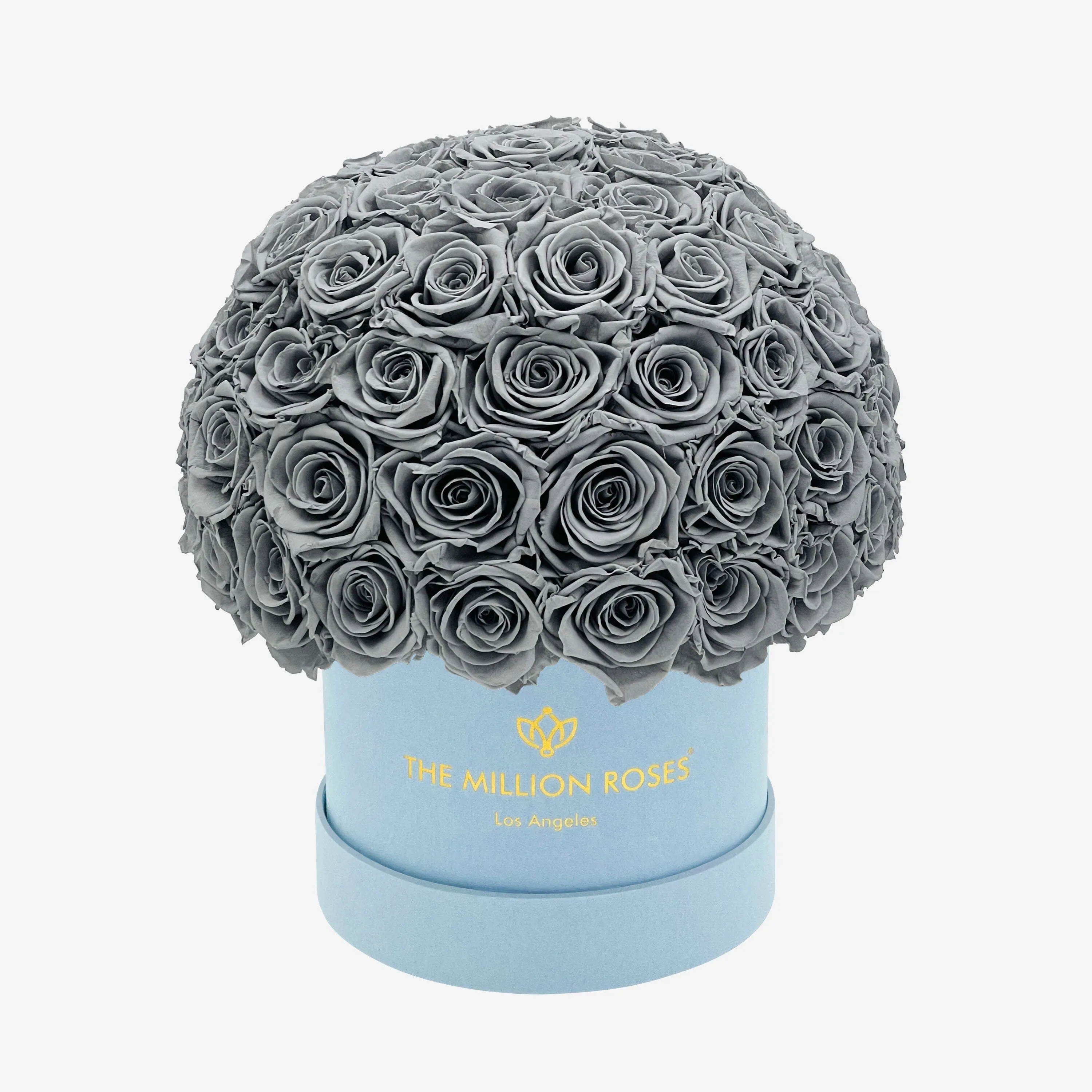 Classic Light Blue Suede Superdome Box | Pastel Grey Roses