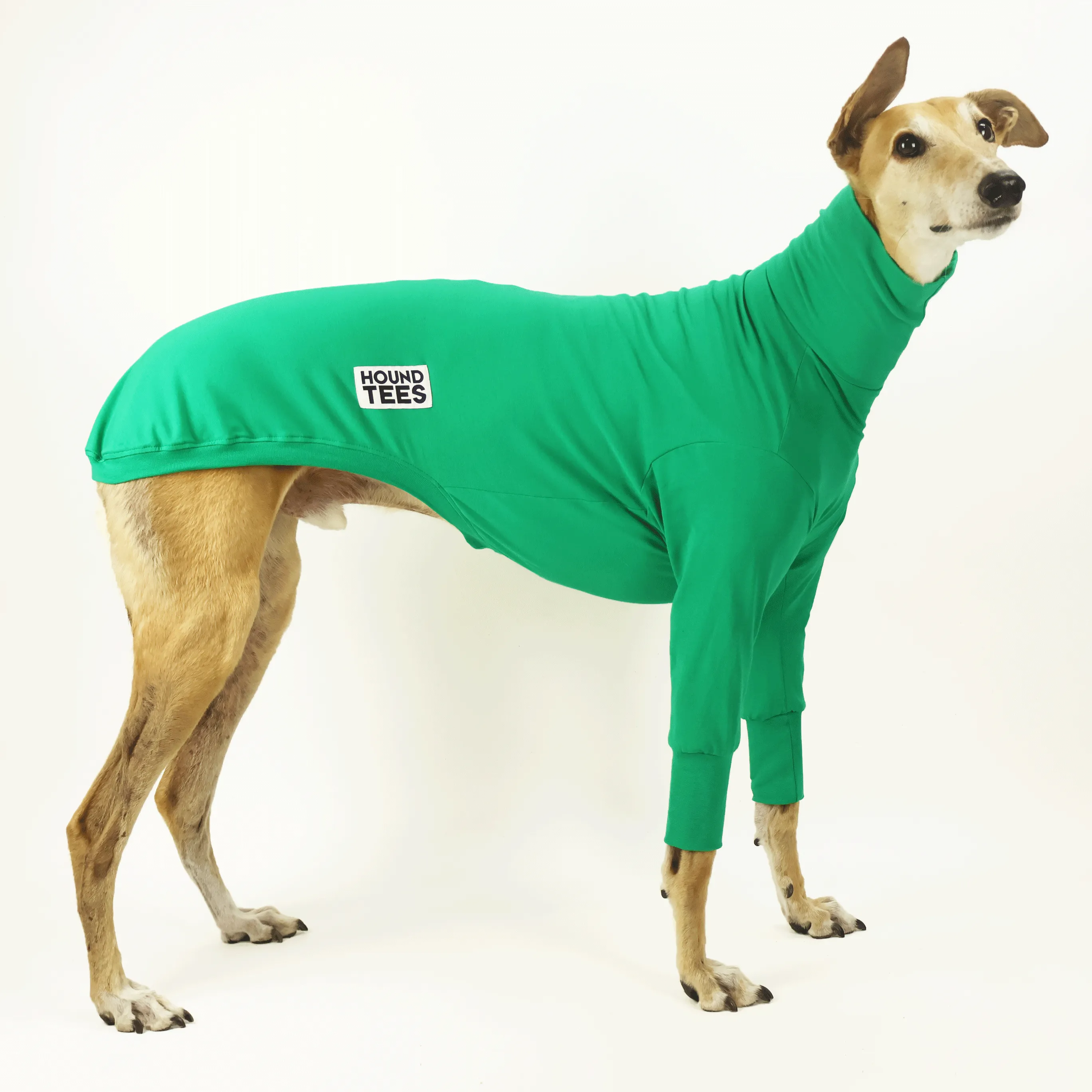 Lounge Lizard Greyhound Long Sleeve Base Layer