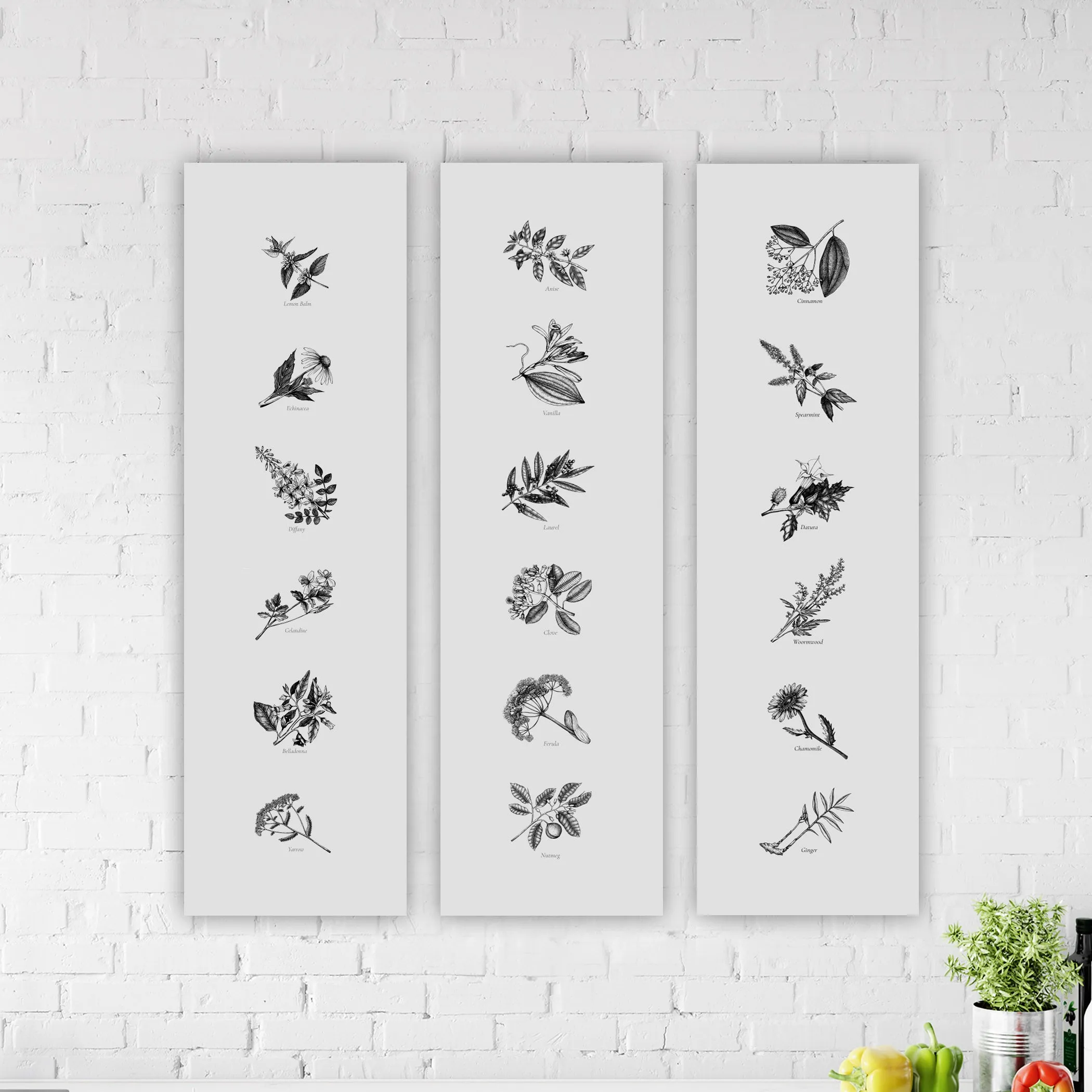 Skinny Framed Botanical Herb & Spice Canvases