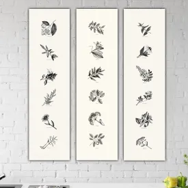 Skinny Framed Botanical Herb & Spice Canvases