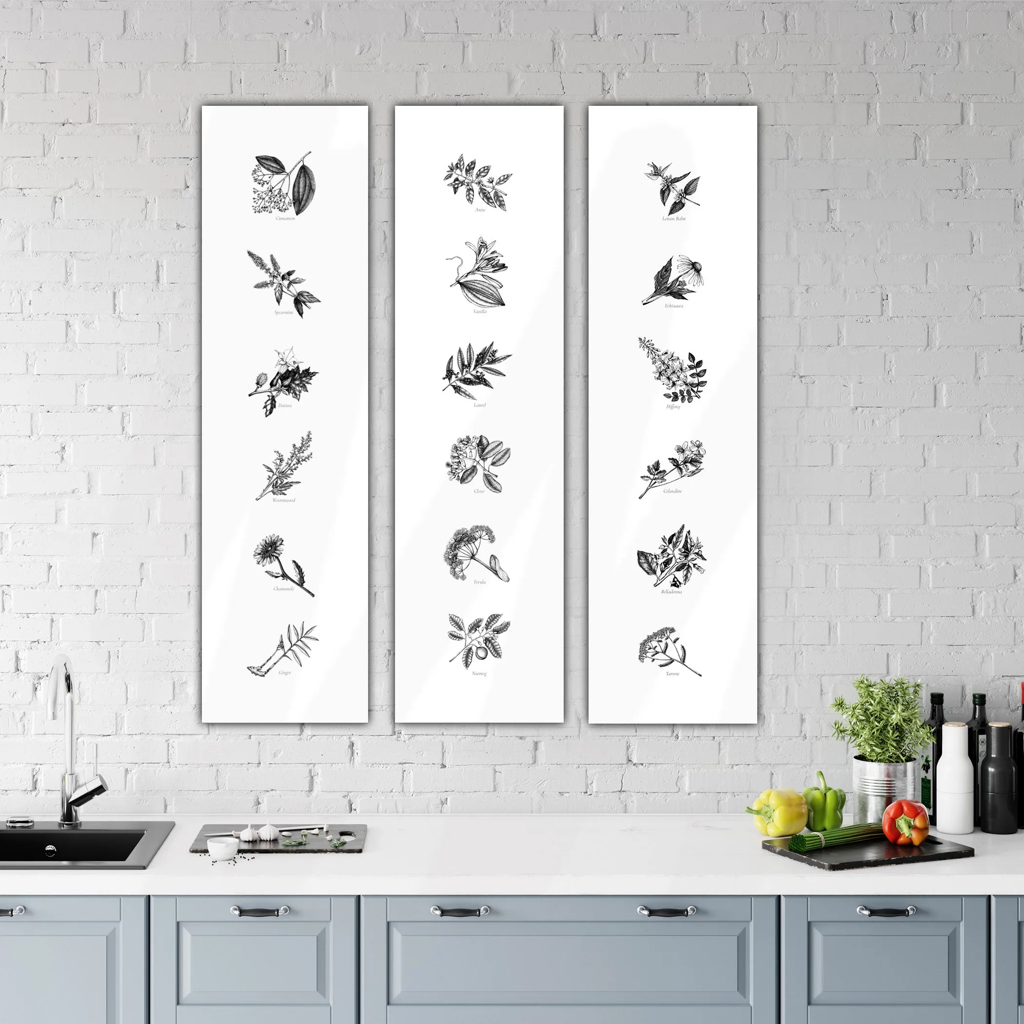 Skinny Framed Botanical Herb & Spice Canvases